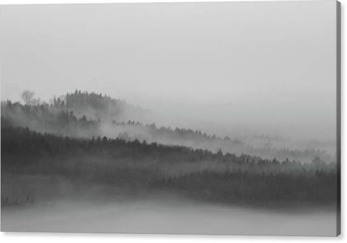 , Landscape Canvas Prints, the-foggy-forest-canvas-print