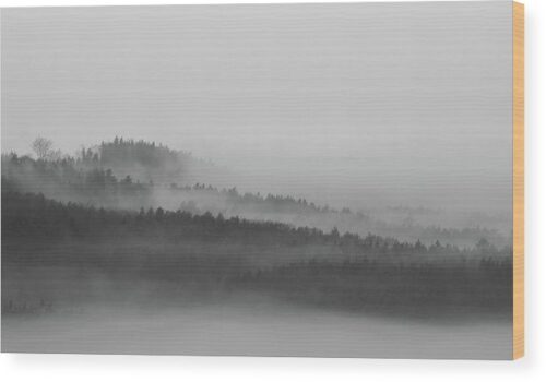 Foggy forest photograph - Wood print for sale, Landscape Wood Prints, the-foggy-forest-wood-print
