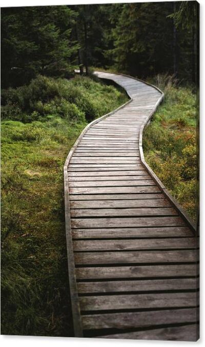 , Nature Canvas Prints, the-path-to-nowhere-canvas-print