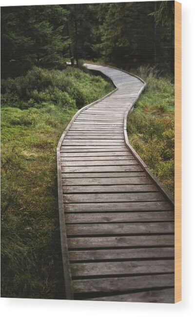 The path to nowhere - Wood print for sale, Nature Wood Prints, the-path-to-nowhere-wood-print