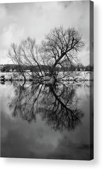 , Landscape Acrylic Prints, the-reflection-of-a-tree-in-water-acrylic-print