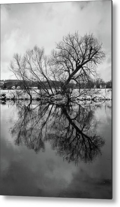 , Landscape Metal Prints, the-reflection-of-a-tree-in-water-metal-print