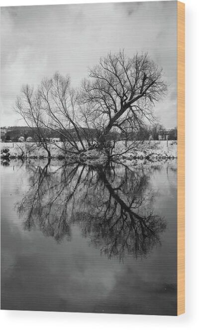 , Wood Prints, the-reflection-of-a-tree-in-water-wood-print