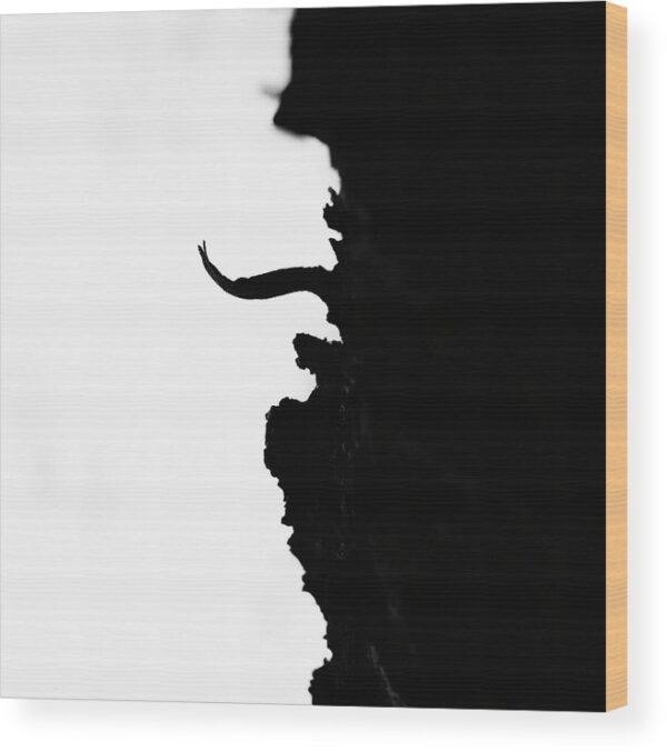 Tree bark silhouette. Minimalist photograph - Wood print for sale