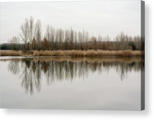 , Landscape Acrylic Prints, trees-reflecting-in-the-water-acrylic-print