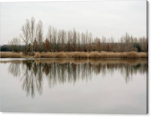 Trees Reflecting in the Water - Landscape photography canvas print for sale, Landscape Canvas Prints, Trees Reflecting in the Water – Landscape photography canvas print for sale