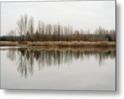 , Landscape Metal Prints, trees-reflecting-in-the-water-metal-print