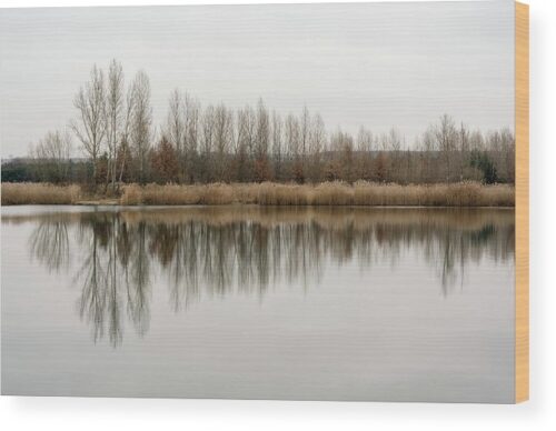 , Landscape Wood Prints, trees-reflecting-in-the-water-wood-print