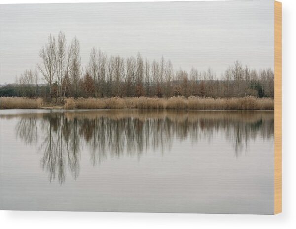 Trees Reflecting in the Water – Wood Print