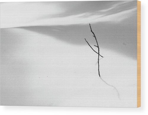 Winter minimalism photography - Wood print for sale, Wood Prints, Winter minimalism photography – Wood print for sale