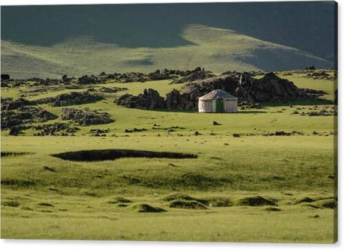 , Landscape Canvas Prints, yurt-in-a-green-mongolian-steppe-canvas-print