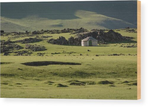 Yurt in Mongolia photograph - Wood print for sale, Landscape Wood Prints, yurt-in-a-green-mongolian-steppe-wood-print