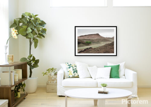A tree in Mongolian landscape - Visualization (rendered image) of an image on a wall in a room. - Desert