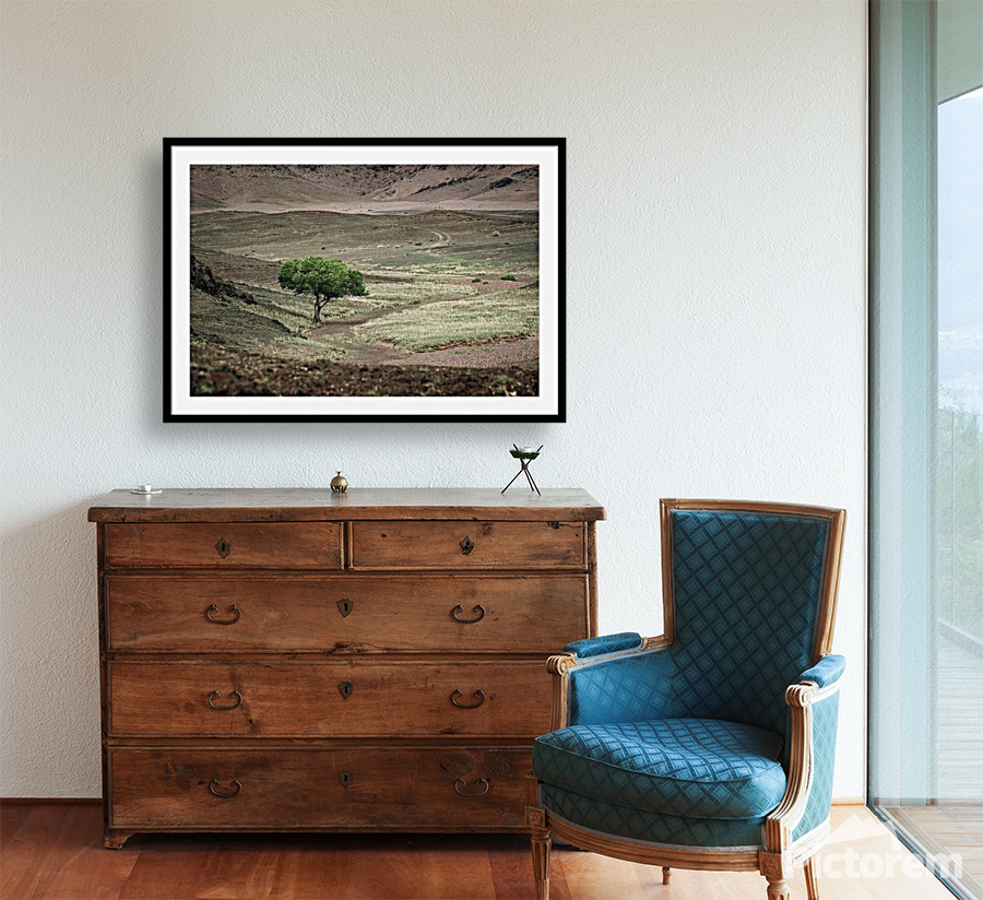 Why Fine Art Photography Prints Make Great Gifts?