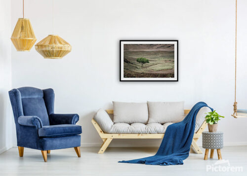 Lone tree in Mongolian Gobi desert - Visualization (rendered image) of an image on a wall in a room. - Desert