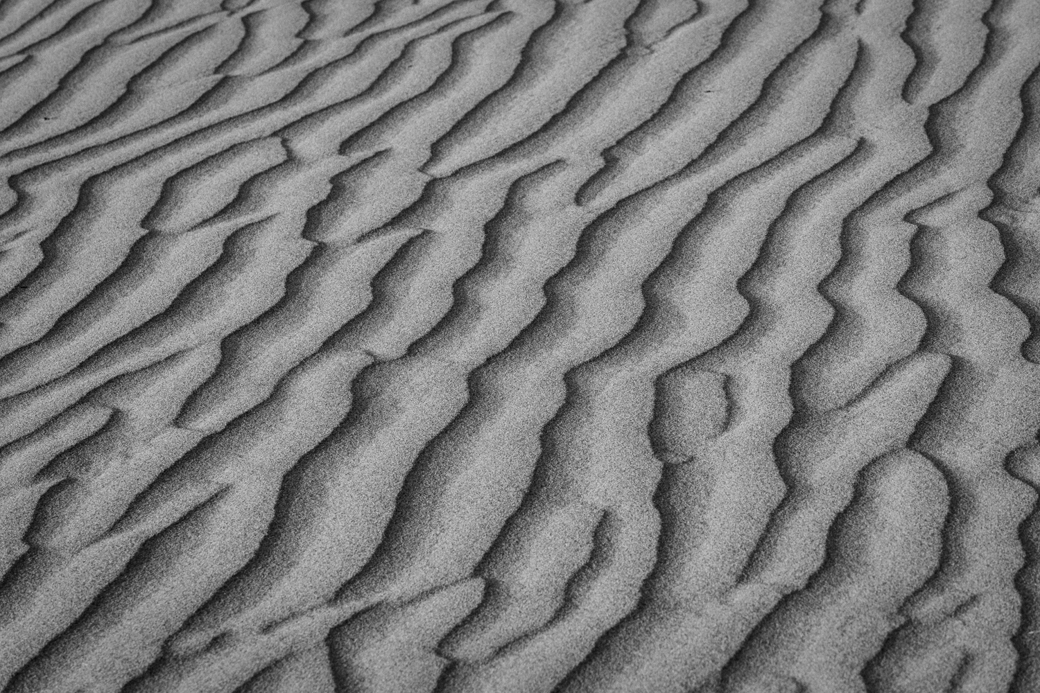 Sand dune close-up - BW photograph for sale