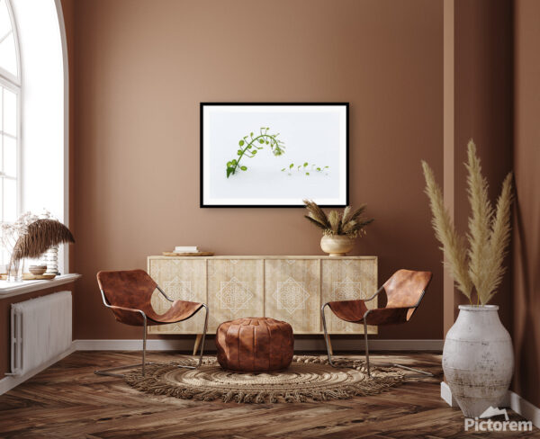 A green plant in the snow II. - An image of domestic living room - render image.
