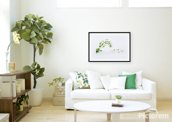 A green plant in the snow II. - An image of domestic living room - render image.