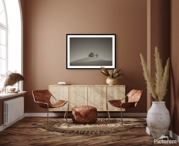 Trees on a Snowy Hill - An image of domestic living room - render image.
