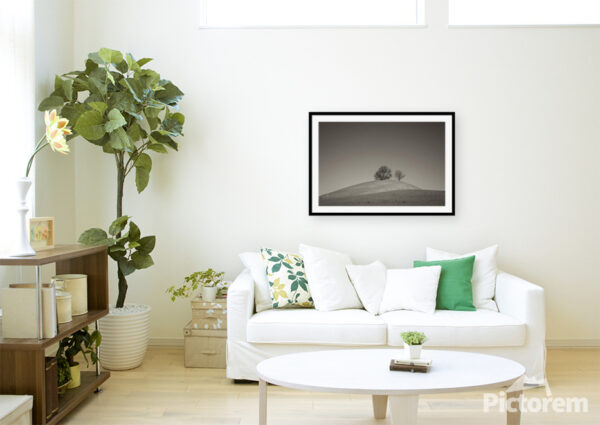 Trees on a Snowy Hill - An image of domestic living room - render image.