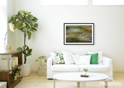 Abstract image of a meadow full of flowers. An image of domestic living room - render image. - Abstract
