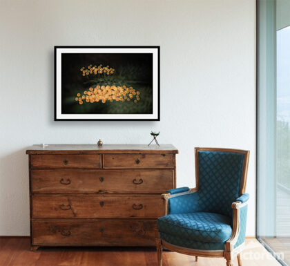 Yellow flowers in the dark - An image of domestic living room - render image. - Abstract