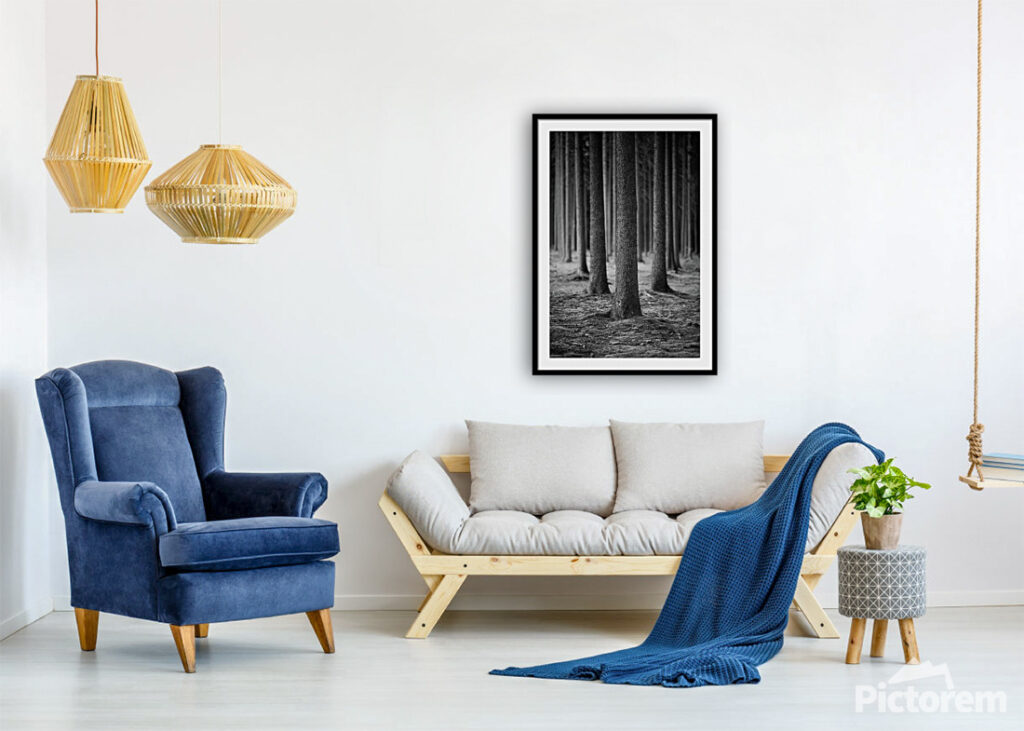 Silent forest Photography print - An image of domestic living room - render image.