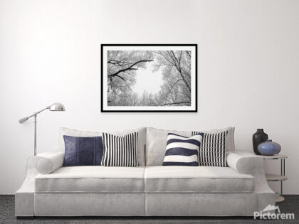 Circle in the Branches - An image of domestic living room - render image. - Abstract