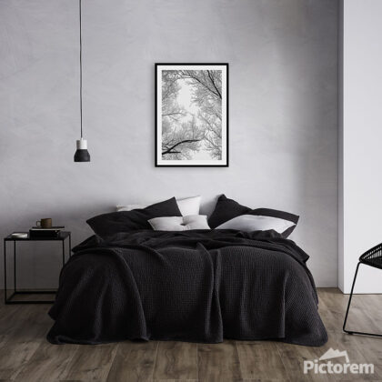 Frozen Branches Abstract Winter Composition - An image of domestic living room - render image. - Abstract