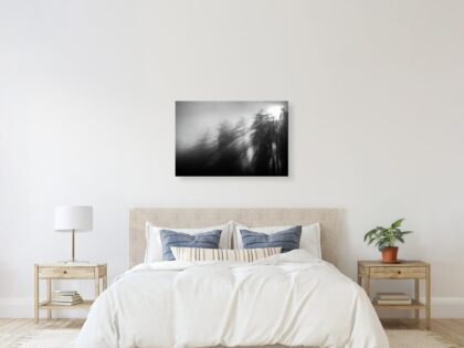 Fog and light rays in the forest - An image of domestic living room - render image. - Abstract