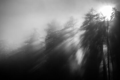 Fog and light rays in the forest - Fine art photography for sale - Abstract