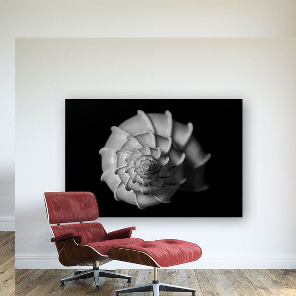 Nature and landscape photography print in the interior