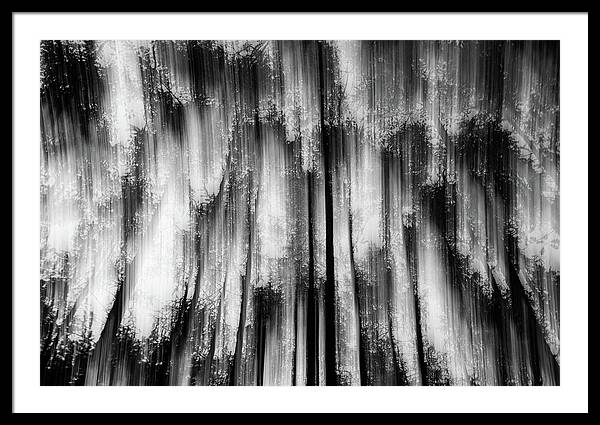 ICM Forest - Abstract Landscape Photography | Martin Vorel