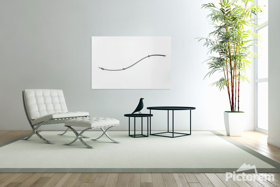 Large Black and White Photography Prints: Sizes, Materials & Interior Design Guide