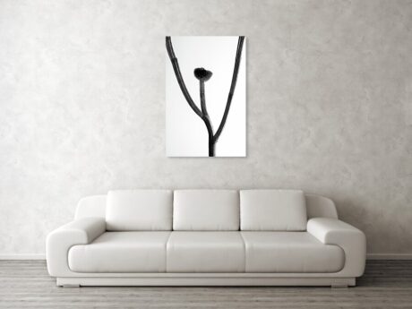 Multi-Exposure Botanical Study - wall art displayed in a modern minimalist interior - Abstract