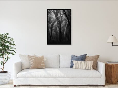 The Mystic Forest II. - multiexposure - abstract photography displayed in a modern minimalist interior - Abstract