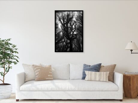The Mystic Forest - multiexposure - abstract photography displayed in a modern minimalist interior - Abstract