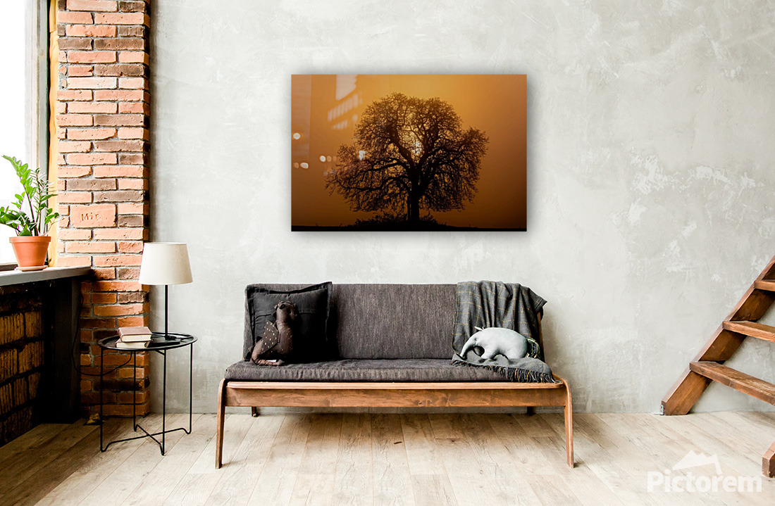 Fine art photography prints for hotels Visualization of a large framed photograph on the wall of the hotel room