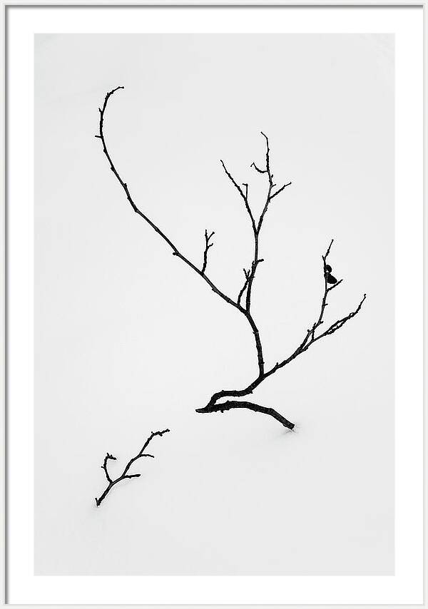 Fine art photography prints for hotels Minimalist wall art
