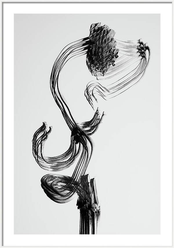 Fine art photography prints for hotels Minimalist wall art