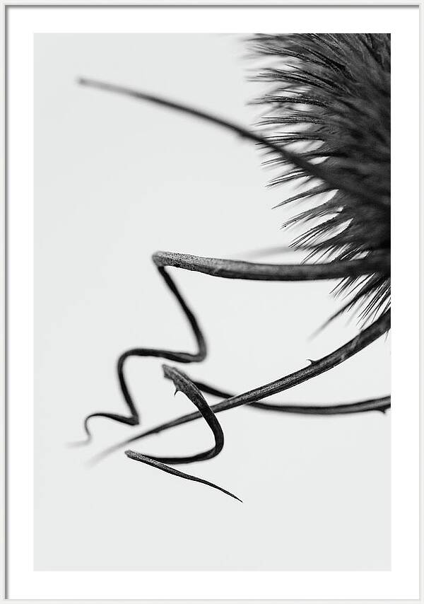 Fine art photography prints for hotels Minimalist wall art
