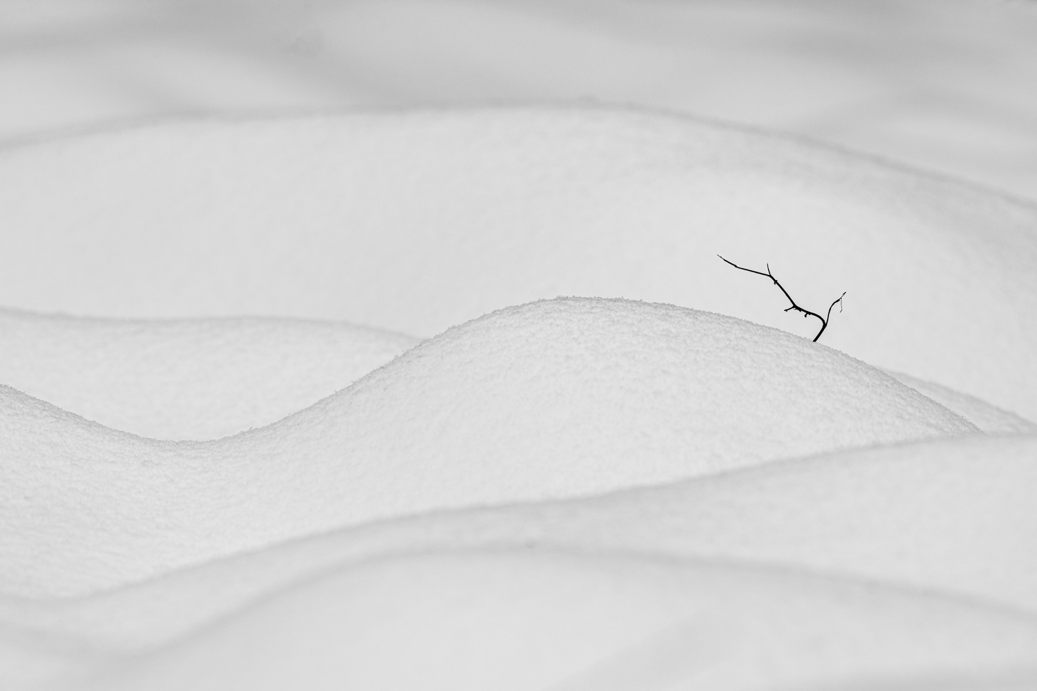 Seasonal Fine Art Photography Prints