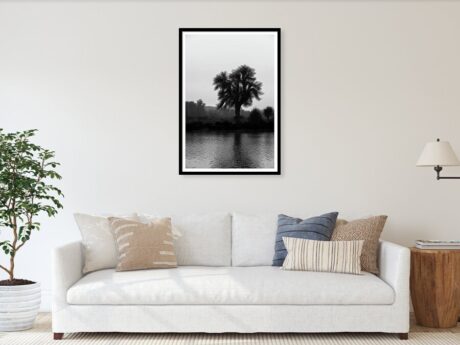 Visualization of abstract tree photography in modern interior - Abstract