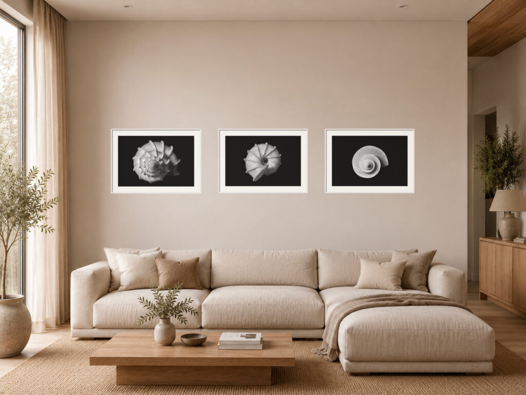 Sets of 3 Photography Prints Sets of 3 Photography Prints