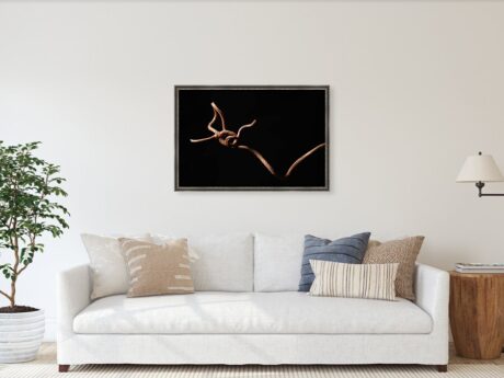 Entangled - Abstract Photography in modern interior - Abstract