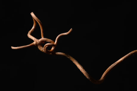 Entangled - Abstract minimalism - Abstract