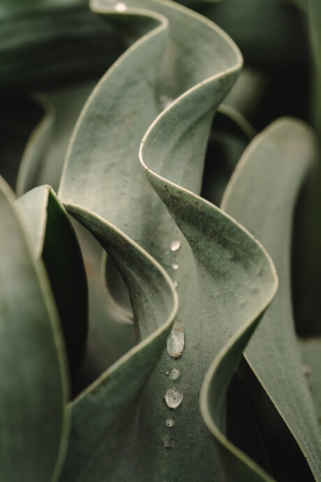 This is a full-resolution preview of the 5504 x 8256 image. - Abstract