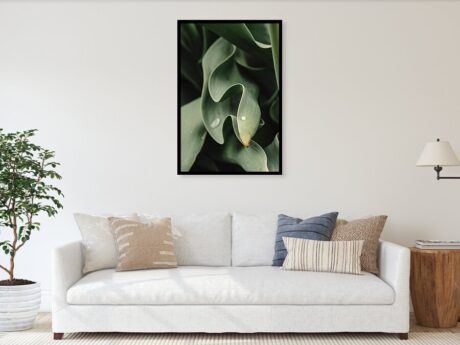 Curling Tulip Leaf with Water Drop - Minimalist interior wall art - Abstract