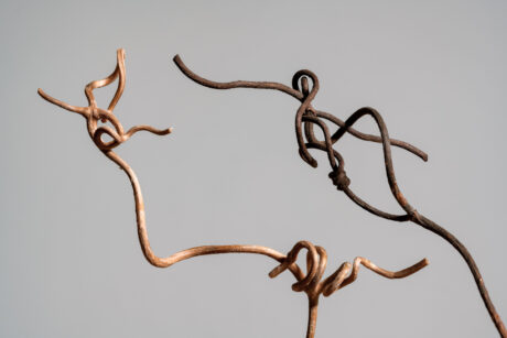 Dry Grapevine Stems Dialogue - Fine Art Print - Abstract