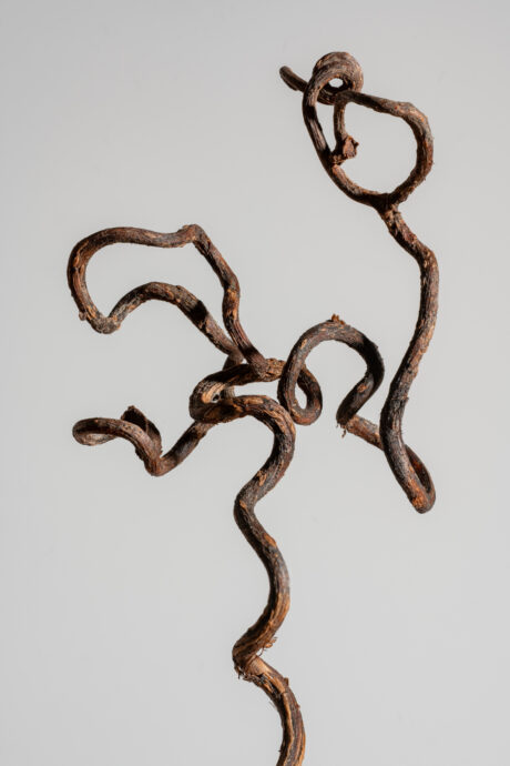 The Idea of a Tree — dry grapevine stem fine art print - Abstract
